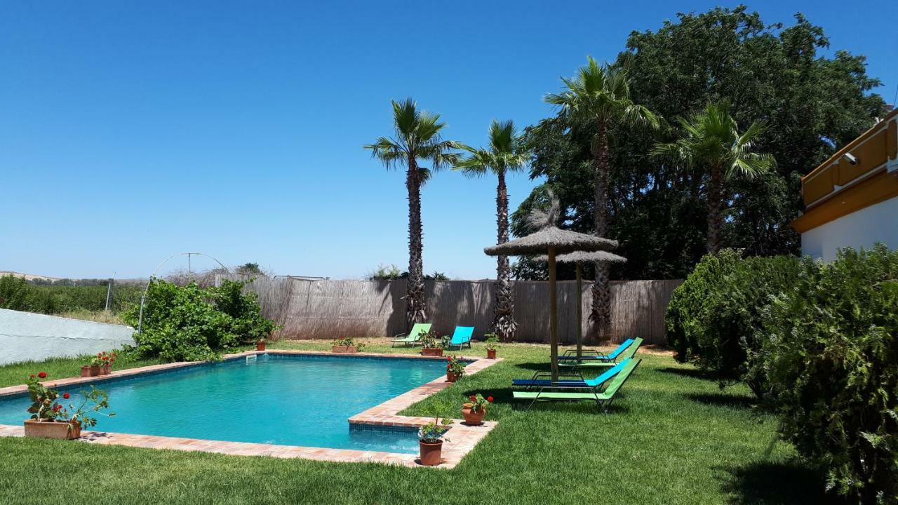 Cortijo Santa Clara Villa Carmona  Exterior photo